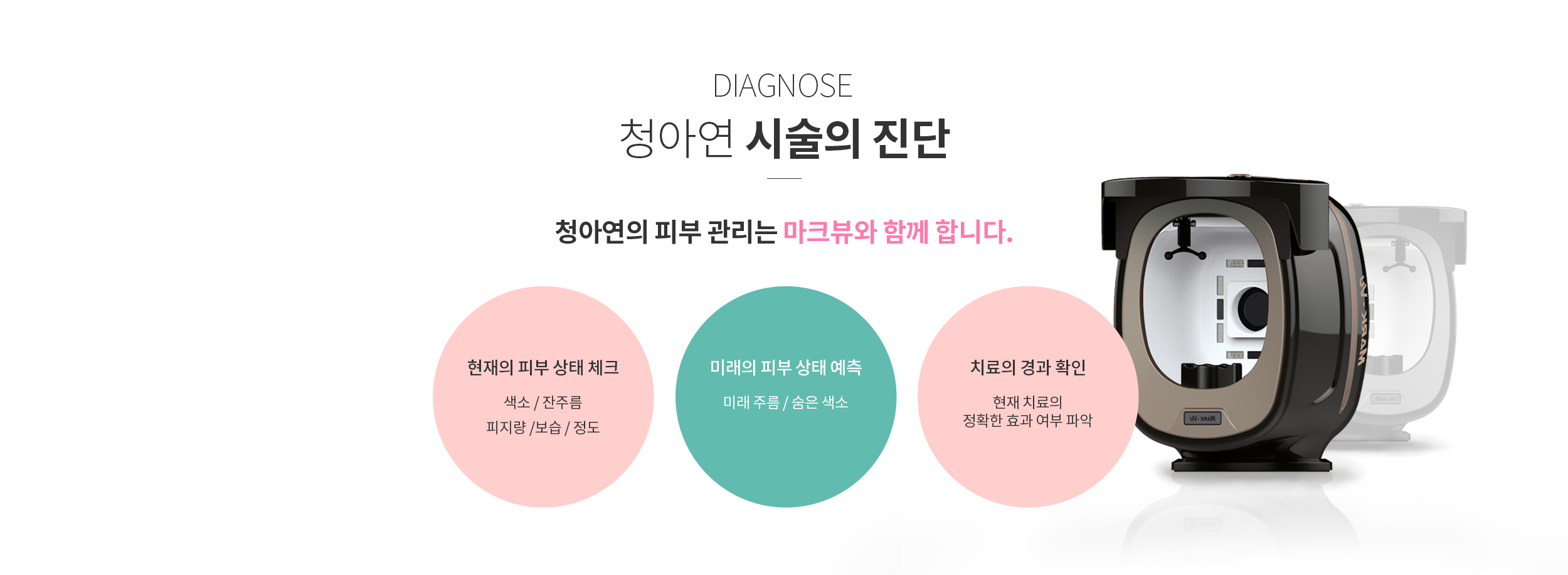 마크뷰/MarkVu/진단검사