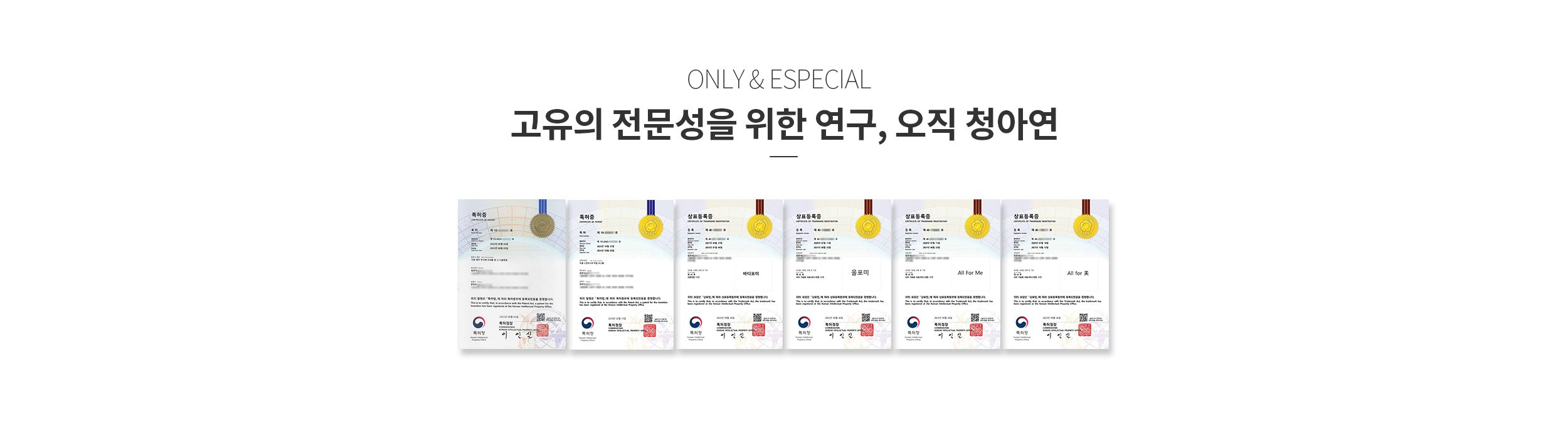 청아연 특허