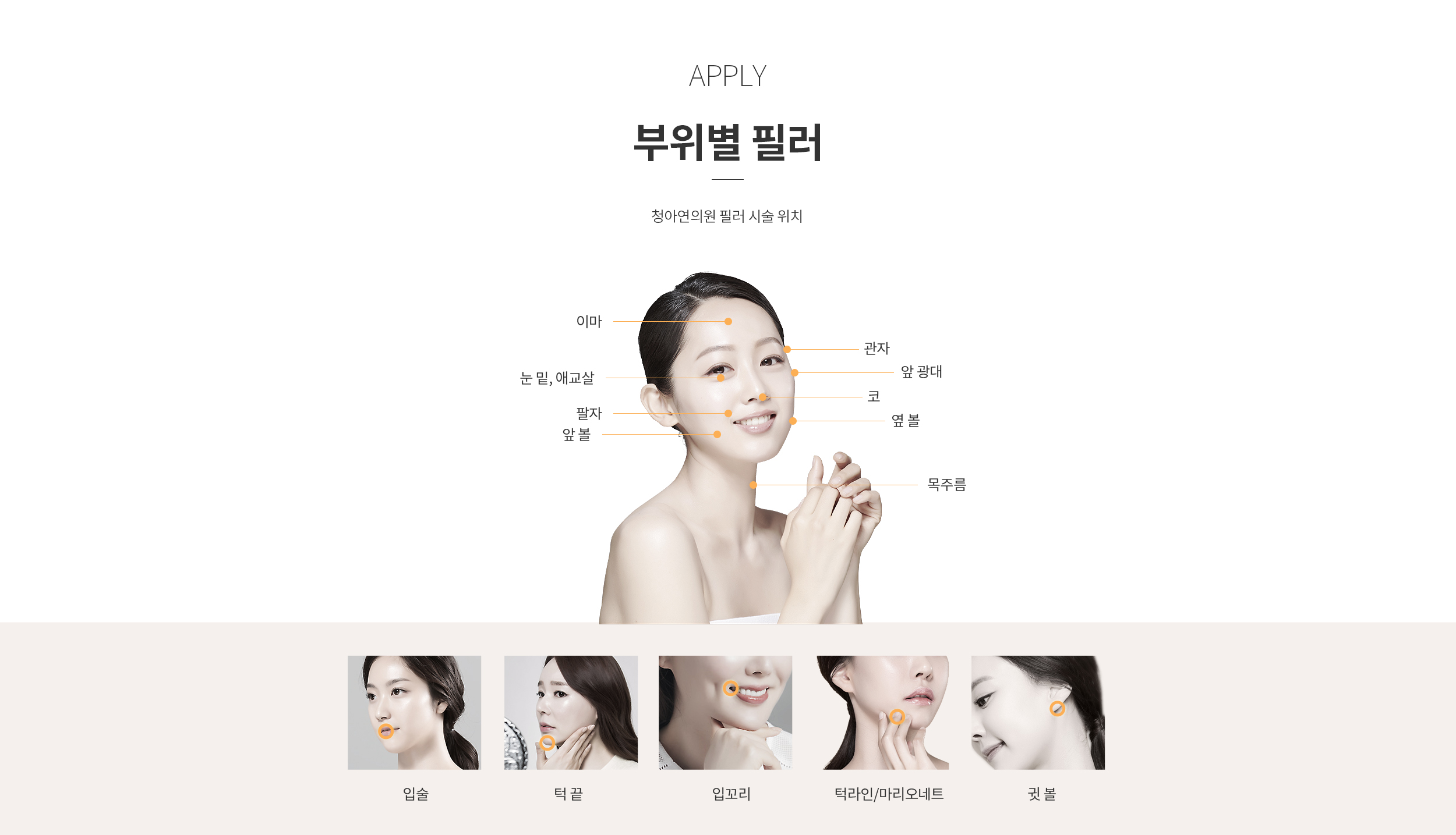 필러 시술 부위