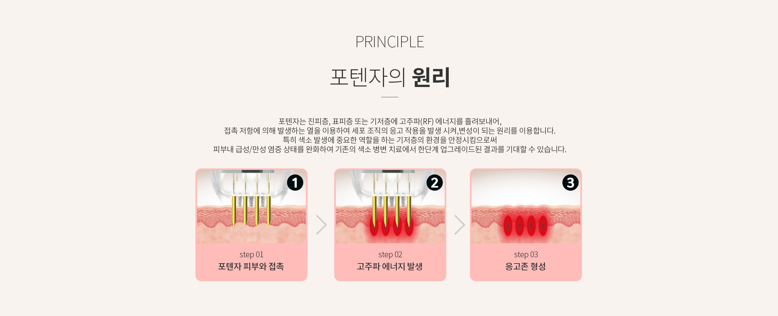 포텐자의 원리