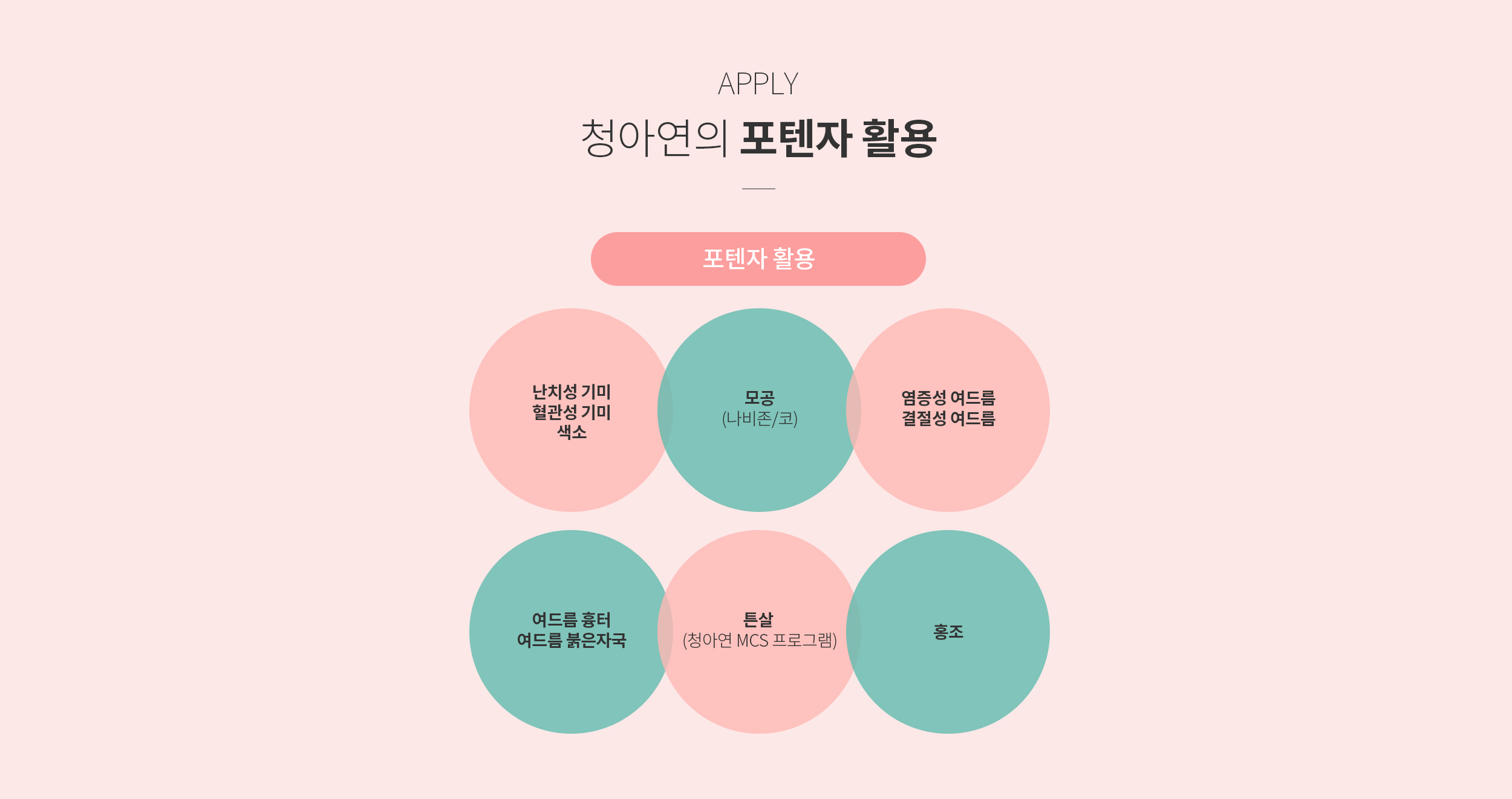 청아연의 포텐자 활용시술