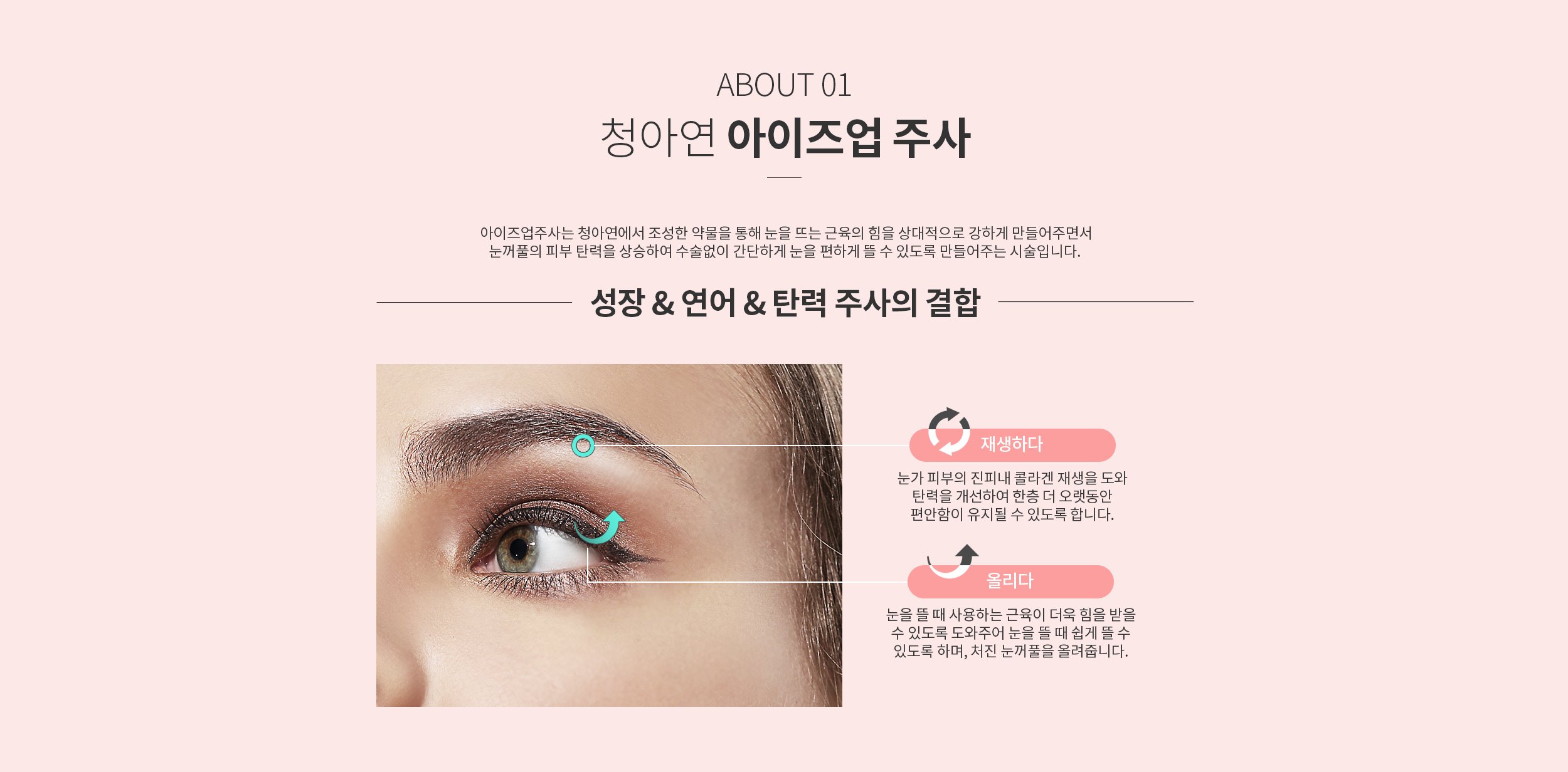 청아연 아이즈업 주사