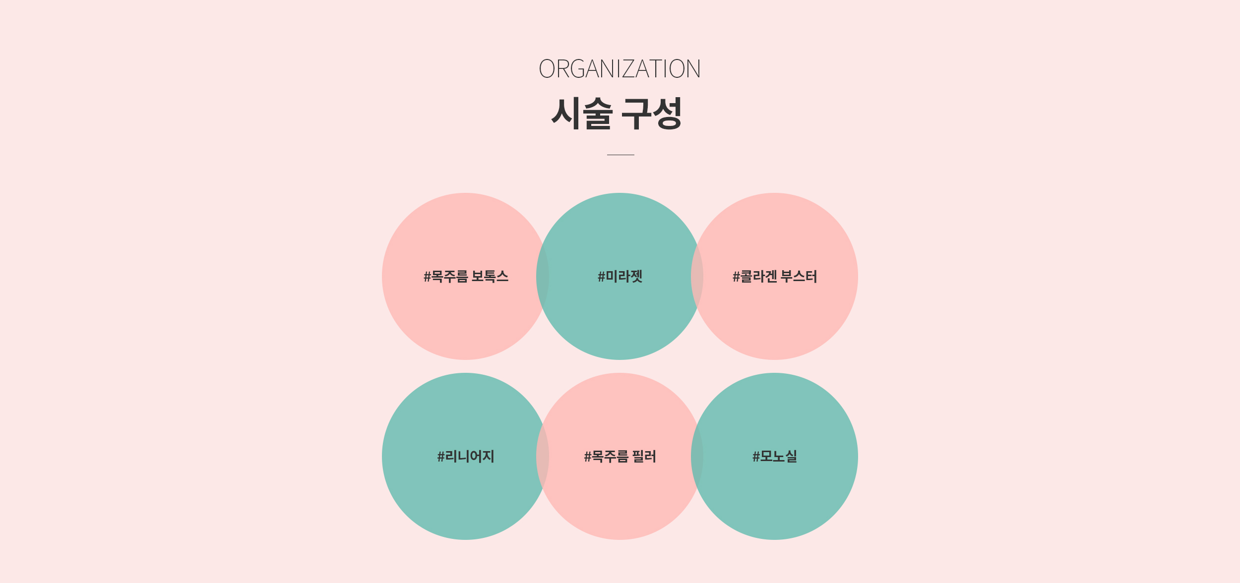 시술 구성