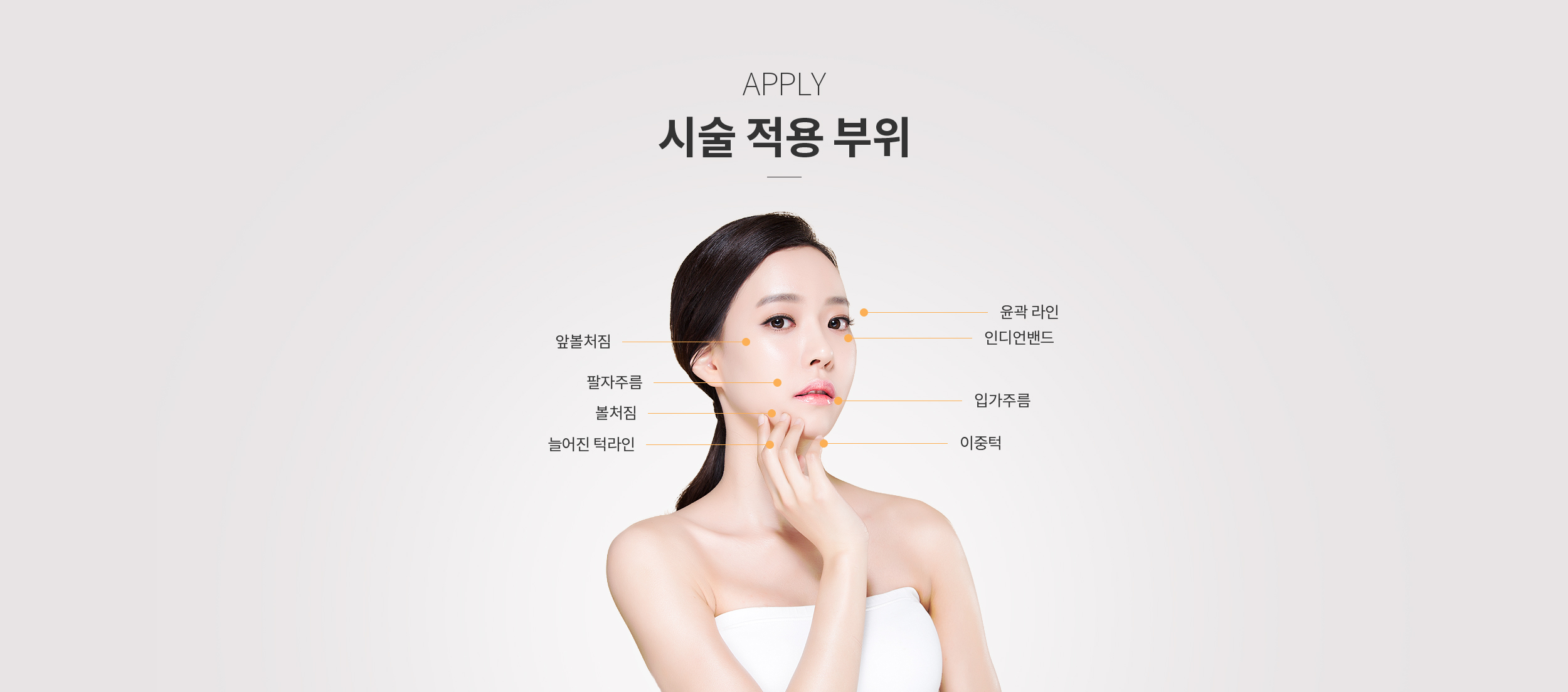 시술 적용 부위