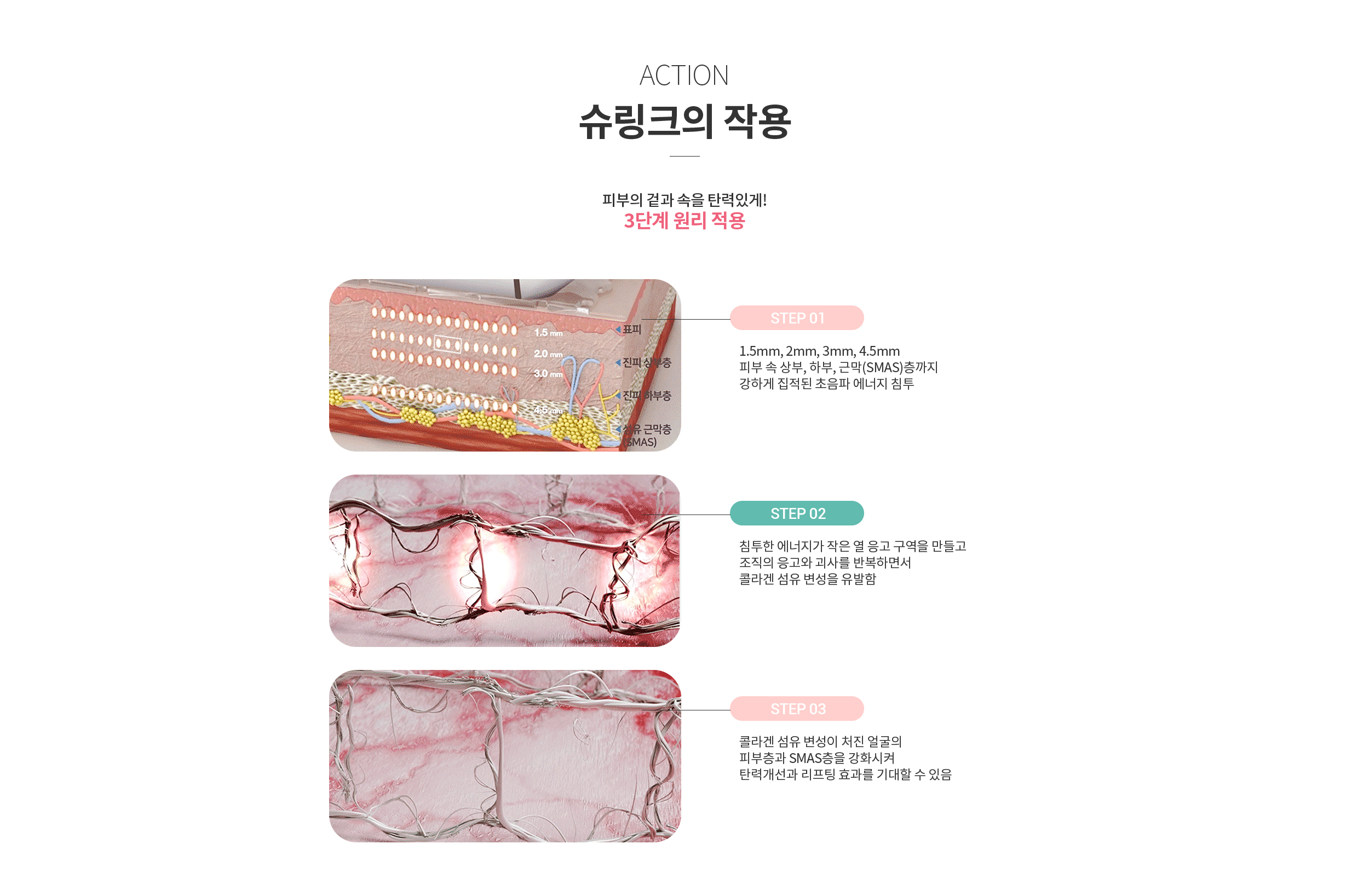 슈링크의 작용 기전