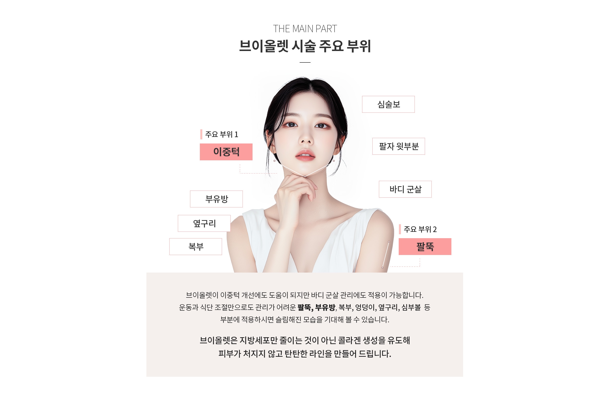 브이올렛 주요 시술 부위