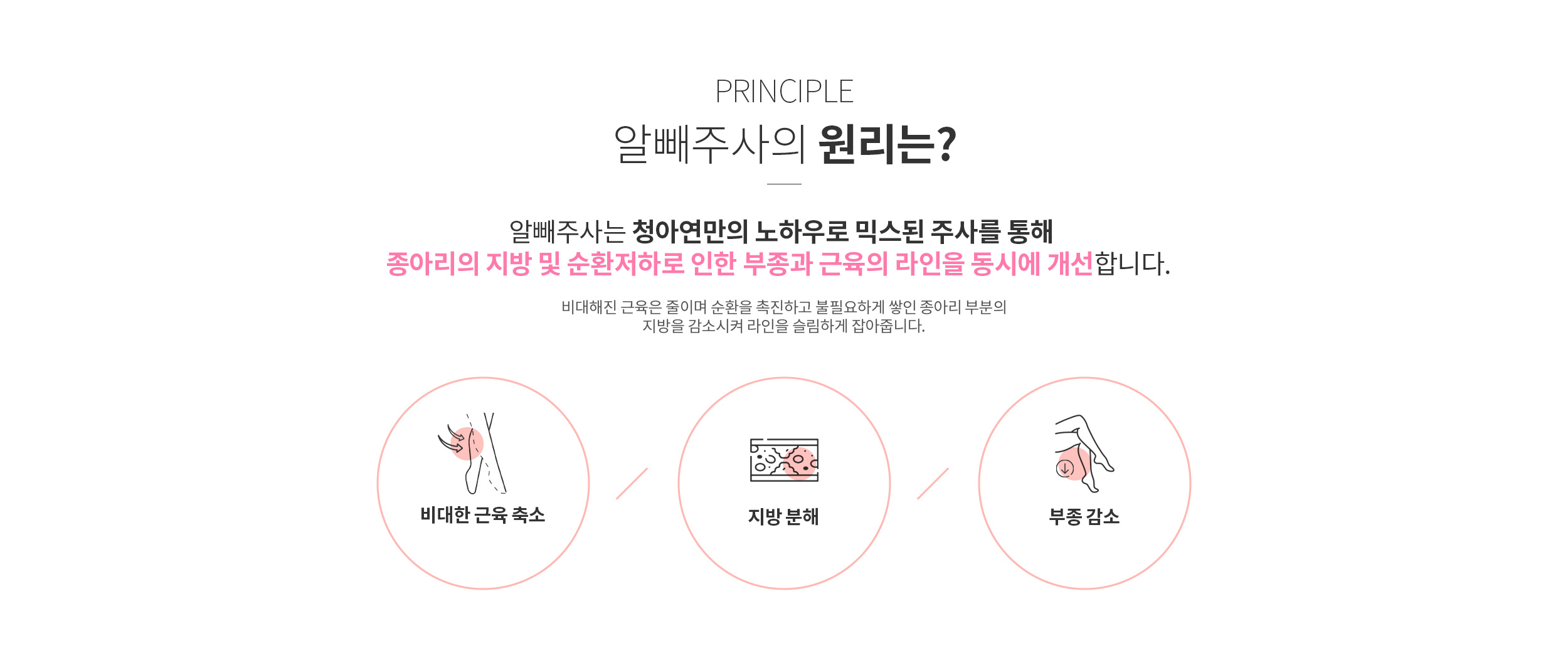 알빼 주사의 원리는?