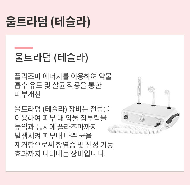 울트라덤(테슬라)