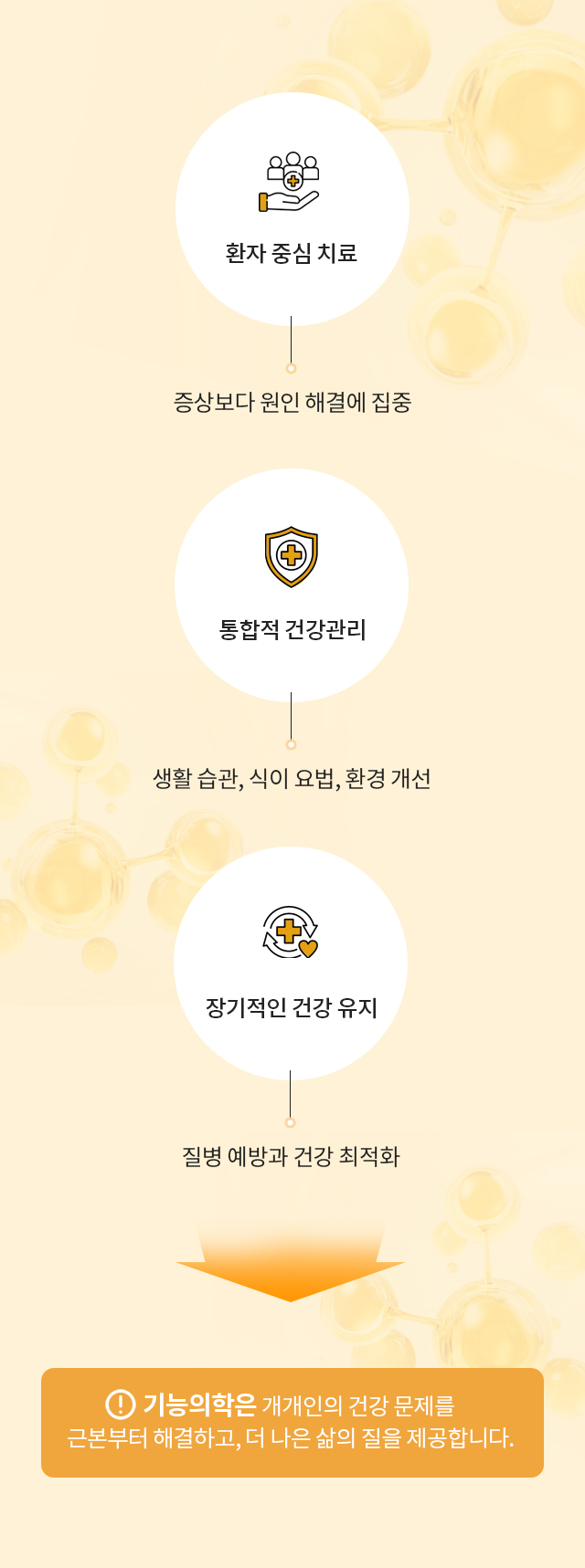 환자중심 치료/통합적 건강관리/장기적 건강유지