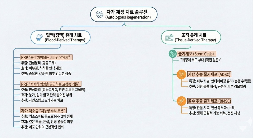 정리파일.jpg