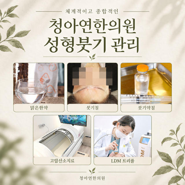 ChatGPT Image 2026년 9월 12일 오후 04_22_04.png