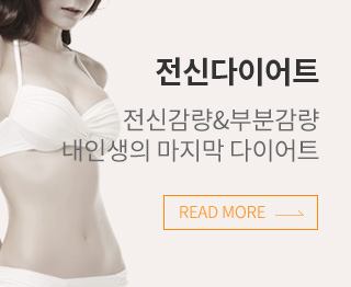 전신다이어트