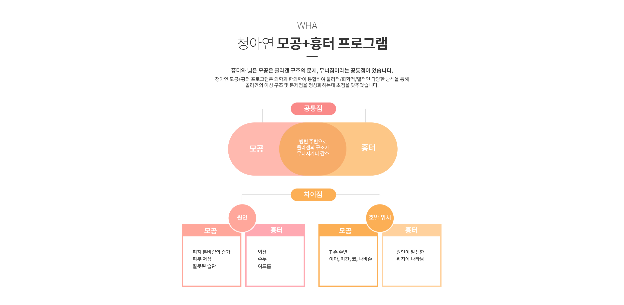청아연 모공, 흉터 프로그램