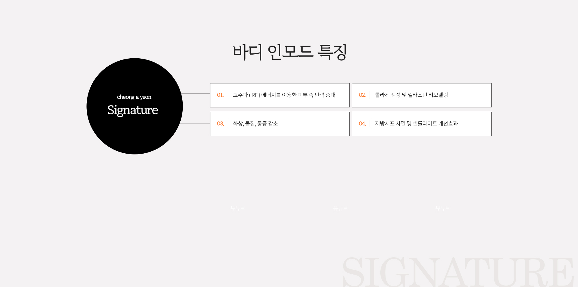 바디 인모드 특징